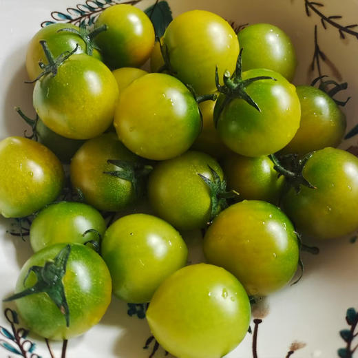 晴甜小番茄  3斤精品果 商品图6