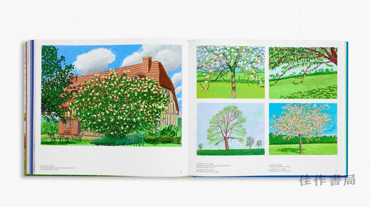 David Hockney 25 Exhibition at the Fondation Louis Vuitton, Paris / 大卫·霍克尼 路易威登基金会25年回顾展 商品图4