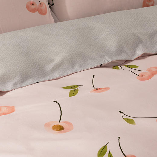 水星家纺 DH温柔甜心-S04(抗菌)-1.5米四件套 商品图3