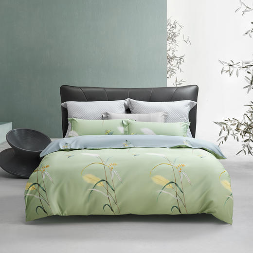 水星家纺 DH倩影摇曳-S04（抗菌）四件套 商品图7