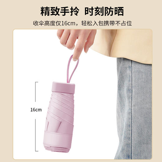 红叶五折美美超扁伞D2787 商品图3