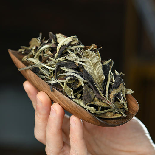 龙园几棵树老树白茶150克 商品图4