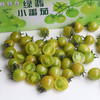 晴甜小番茄  3斤精品果 商品缩略图0