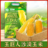 玉巨人沙漠玉米内蒙古特产玉米1850g真空包装锁鲜营养早餐玉米 商品缩略图0