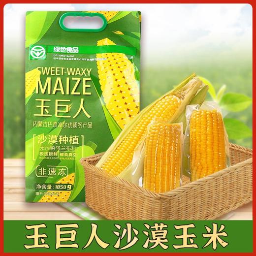 玉巨人沙漠玉米内蒙古特产玉米1850g真空包装锁鲜营养早餐玉米 商品图0