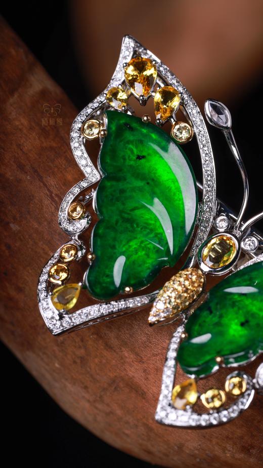 【福叠翩翩】翡翠蝴蝶胸针坠 XZ12503029 商品图8