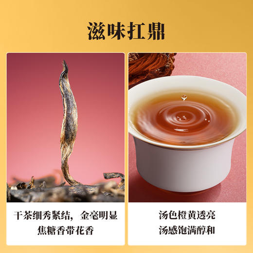 八马茶业 | 鼎红10000·金骏眉尊享装50g 商品图2