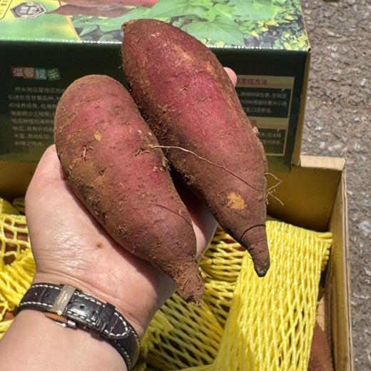 澄迈桥头地瓜 商品图6