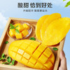 百草味芒果干120g/袋 水果干特产菲律宾风味办公零嘴小吃蜜饯果脯烘焙 商品缩略图4
