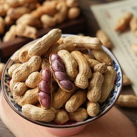 【斌哥优选】鲜煮花生。正宗客家鲜煮，古法工艺，0添加。盐煮入味，粉面微咸，香糯低盐不脏手。口感香糯不拔干，零食下酒绝绝子。