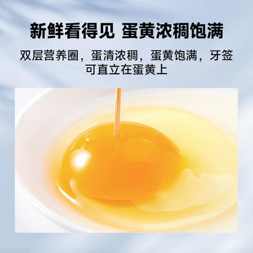 【四川帮扶】晶华·晶选 鲜鸡蛋30枚（可生食级） 商品图2