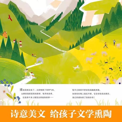 最美地球绘本海洋+雪山+树懒（精装3册） 商品图3