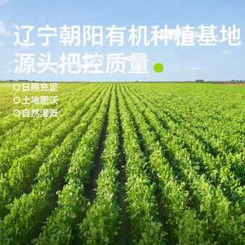 田喜粮鲜有机绿豆 高蛋白低脂肪高叶酸钾镁 绿豆粥绿豆汤东北绿豆杂粮450g /粮油调味 /杂粮 /杂豆类 商品图3