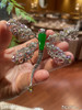 5241305，蜻蜓胸针。具体价格微信咨询 商品缩略图2