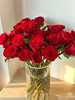 预售8号到货。高原红玫瑰 一扎10支 支长60厘米 商品缩略图1