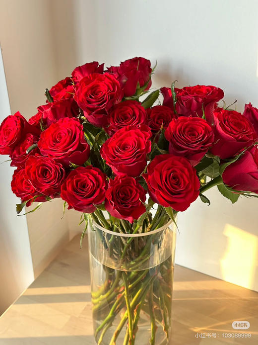 预售8号到货。高原红玫瑰 一扎10支 支长60厘米 商品图1