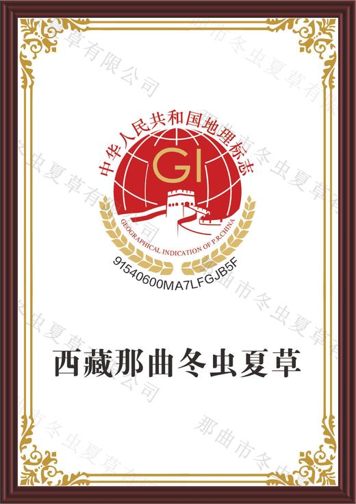 【预售】2026西藏那曲冬虫夏草鲜草 国企品质 援藏工作组推荐（5月20号发货） 商品图4