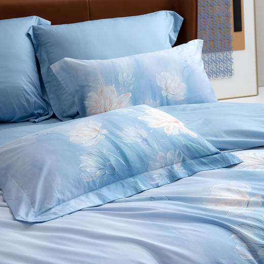 水星家纺 DH花辰如梦-K04(茶氨酸)四件套 商品图9