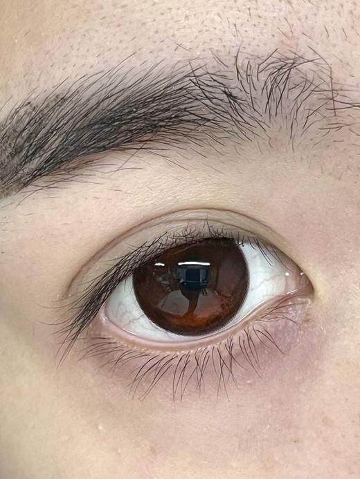 Healercon 半年抛 蕾丝吻痕 直径14.5mm着色13.8mm 商品图5