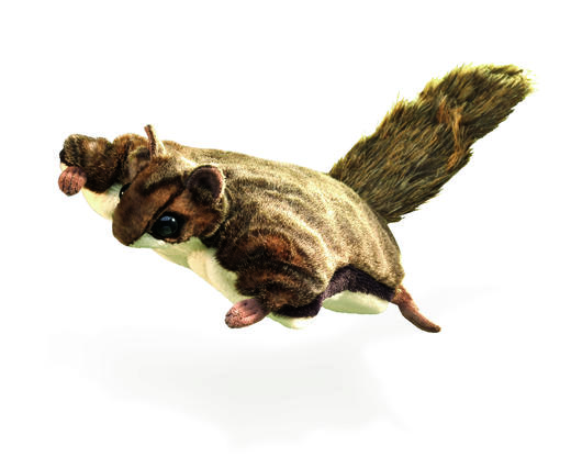 KZ1390 FOLKMANIS飞天鼠2580 商品图0