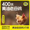 400天黄油老母鸡·3只装 商品缩略图7