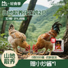 山地散养仔 公鸡 商品缩略图5