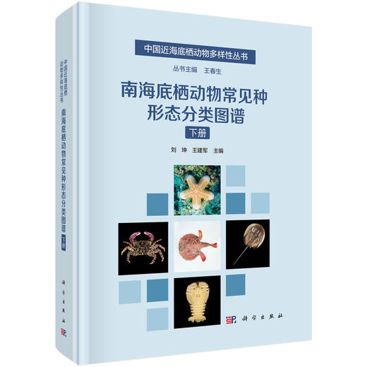 【全3册】南海底栖动物常见种形态分类图谱（上中下册） 商品图3