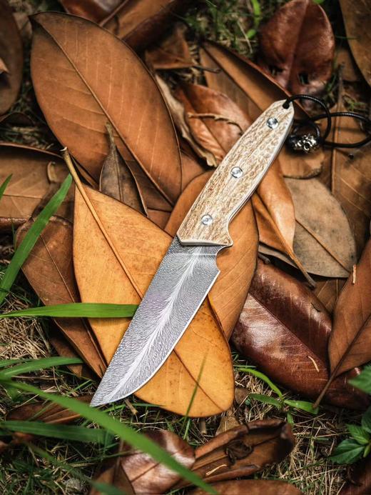 【福利】三希堂  现代刀系列  手锻羽毛小直 未开刃 商品图0