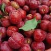 【十堰主城区包邮】新鲜水果 酸甜多汁郧阳区清凉寺红布林  5斤装 商品缩略图3