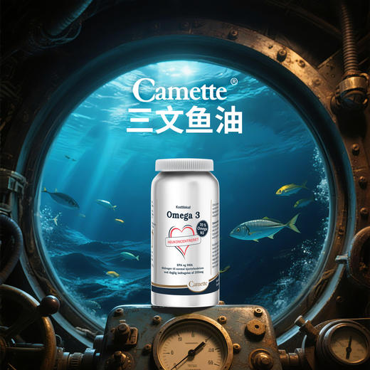 丹麦Camette凯麦特浓缩鱼油120粒/瓶 商品图4