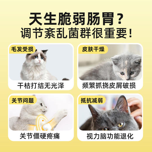 宠安仕乳化鱼油50g 95%高纯度 易吸收 美毛护肤 犬猫通用 【全渠道销售】 商品图2