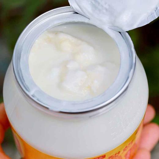 新疆马三三奶皮子酸奶 500g*2桶 商品图3