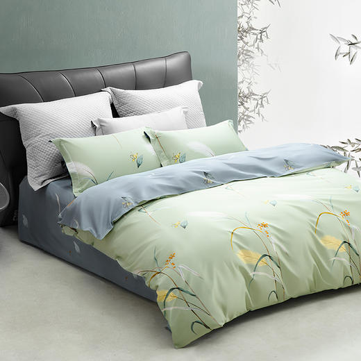 水星家纺 DH倩影摇曳-S04（抗菌）四件套 商品图8