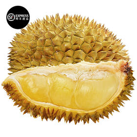 泰国金枕榴莲  单个装