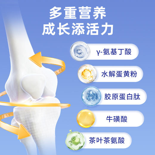 金健高素γ-氨基丁酸蛋白饮 商品图2