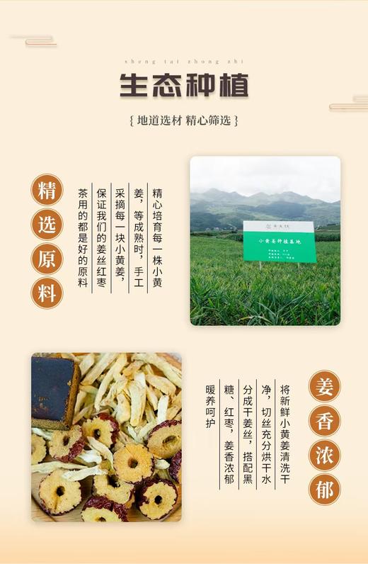 姜来无忧-姜丝红枣茶 1盒200克（20克*10袋）厂家直发 商品图5