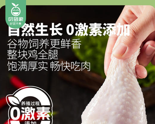 圣农美厨冷冻全腿（手枪腿）/1包（5-6个，共1kg）生产日期：25年6月 商品图1