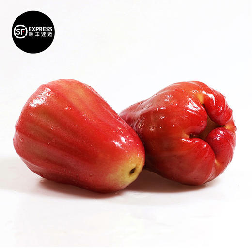 海南黑金刚莲雾  单果70-100g  4斤装 商品图0