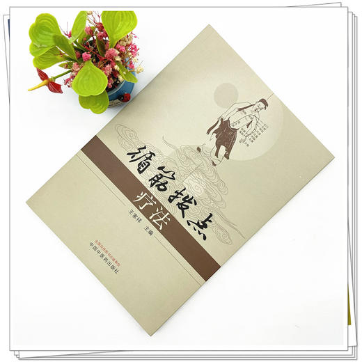 循筋拨点疗法 王家祥 主编 中国中医药出版社 中医临床 书籍 商品图1