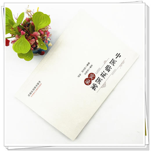 中医临证医案实录 赵宏波 孙静 编著 中国中医药出版社 中医临床 肾脏病 内科杂病 书籍 商品图1