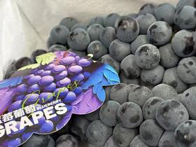 蓝莓葡萄（2.5-3斤）
