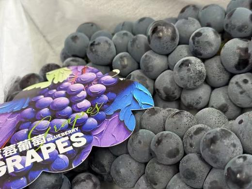 蓝莓葡萄（2.5-3斤） 商品图0