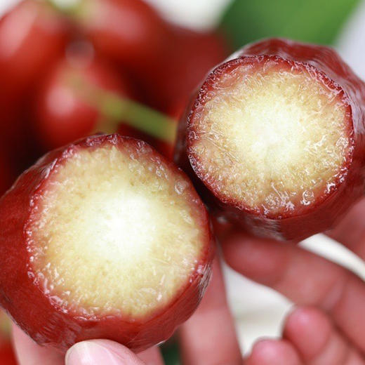 海南黑金刚莲雾  单果70-100g  4斤装 商品图3