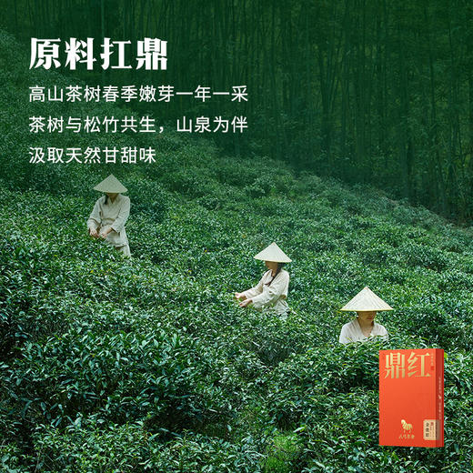 八马茶业 | 鼎红10000·金骏眉尊享装50g 商品图1