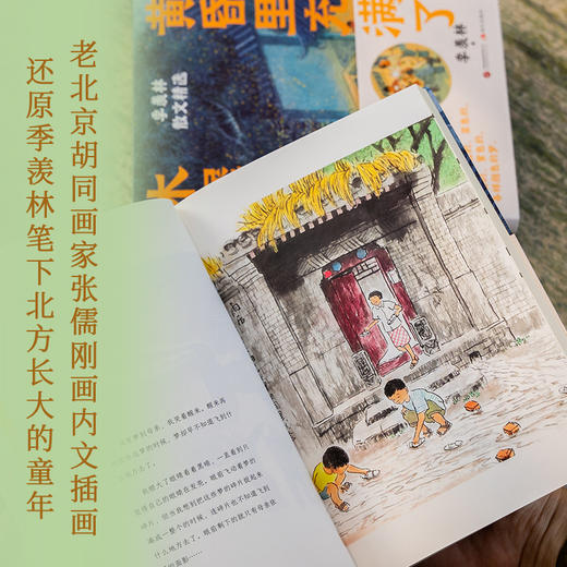 黄昏里充满了木樨花的香：季羡林散文精选 商品图3