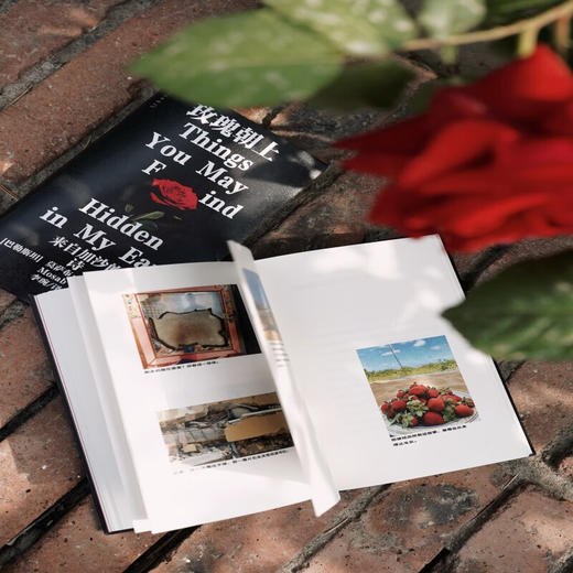 【赠透卡】玫瑰朝上：来自加沙的诗（2025普利策奖得主作品） 【单书透卡】 商品图7