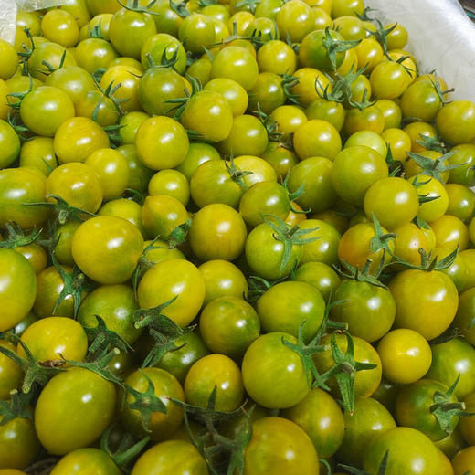 晴甜小番茄  3斤精品果 商品图1