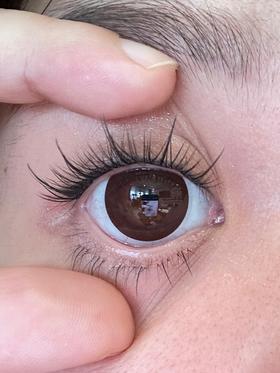 annakelly日抛美瞳 木槿巧克力 14.5mm