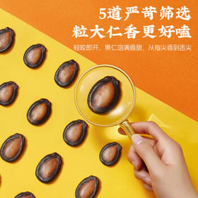 洽洽 桶装口水话梅味西瓜子898g*1罐量贩装坚果炒货办公室休闲零食