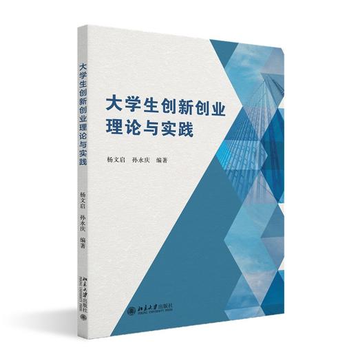 大学生创新创业理论与实践 杨文启，孙永庆 编著 北京大学出版社 商品图0